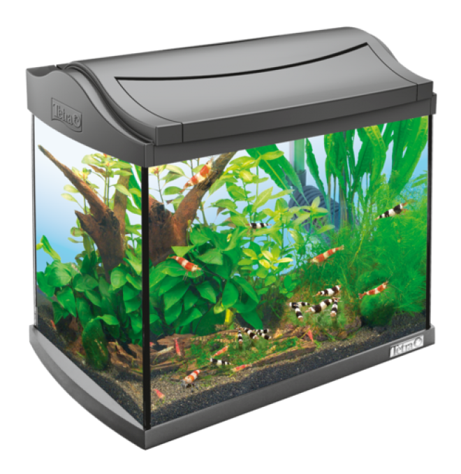 魚缸_養(yǎng)魚缸_水族玻璃槽_玻璃缸_aquarium_aquarium