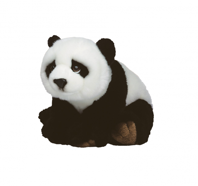 动物_1382小熊猫