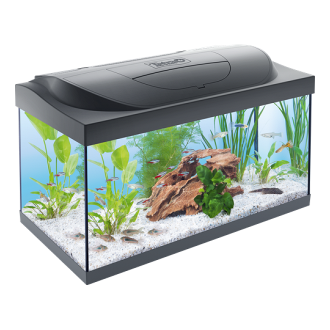 魚缸_養(yǎng)魚缸_水族玻璃槽_玻璃缸_aquarium_aquarium