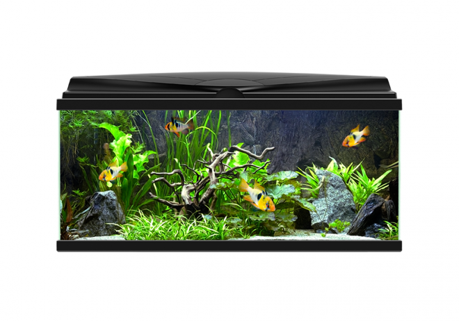 魚缸_養(yǎng)魚缸_水族玻璃槽_玻璃缸_aquarium_aquarium