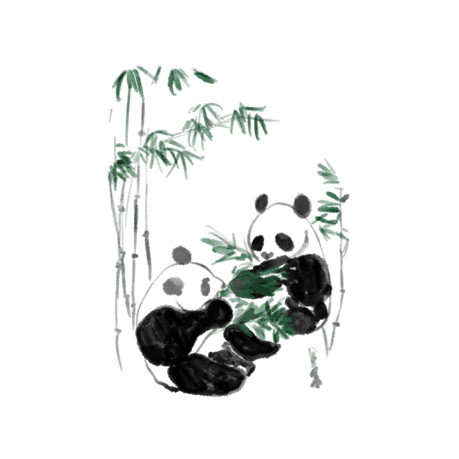 动物_1389熊猫吃竹子
