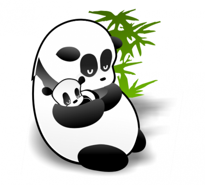 动物_1377熊猫妈妈