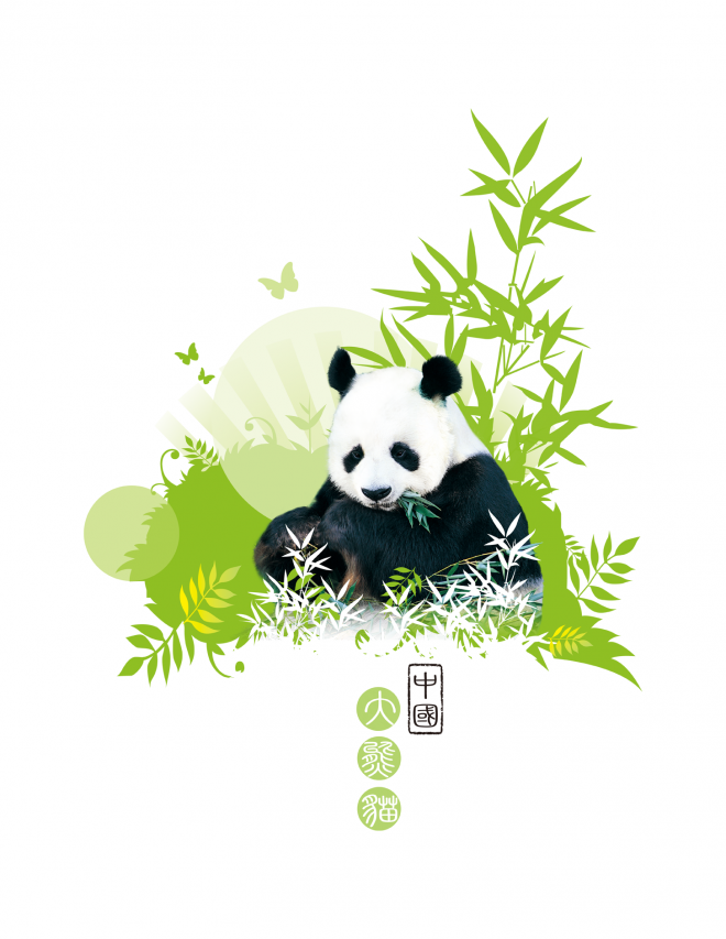 动物_1396中国大熊猫