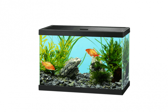 魚缸_養魚缸_水族玻璃槽_玻璃缸_aquarium_aquarium