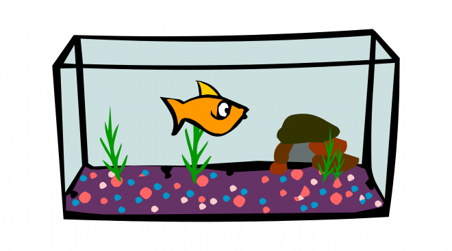 魚缸_養(yǎng)魚缸_水族玻璃槽_玻璃缸_aquarium_aquarium