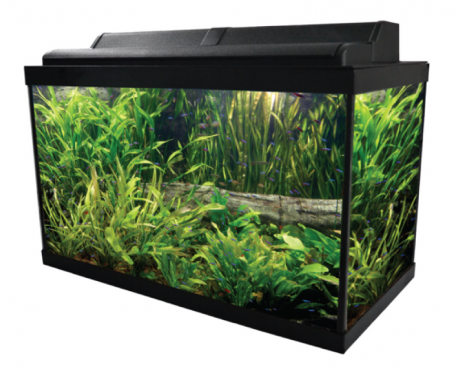 魚缸_養魚缸_水族玻璃槽_玻璃缸_aquarium_aquarium