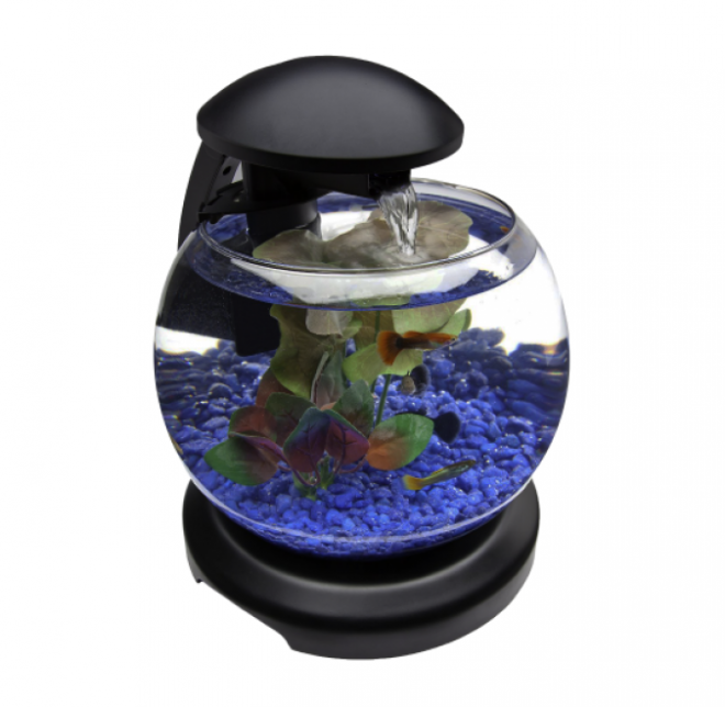 魚缸_養魚缸_水族玻璃槽_玻璃缸_aquarium_aquarium