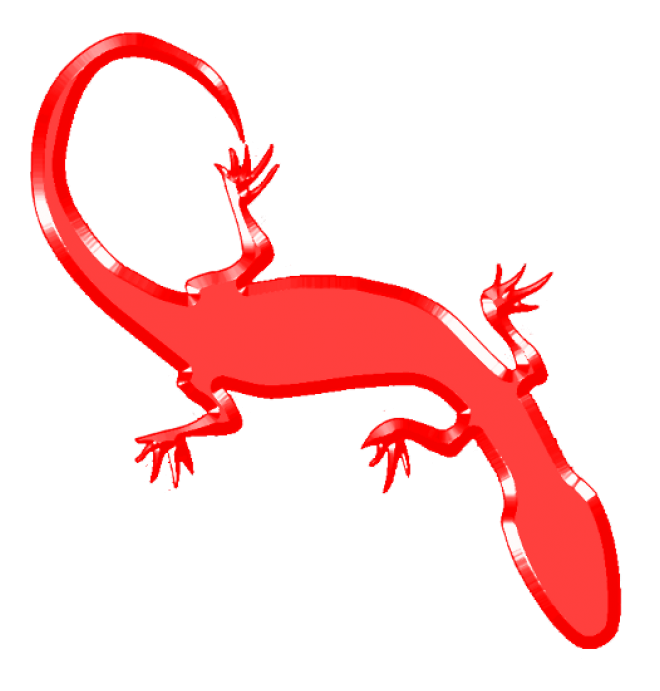 壁虎_蜥蜴_gecko_gecko