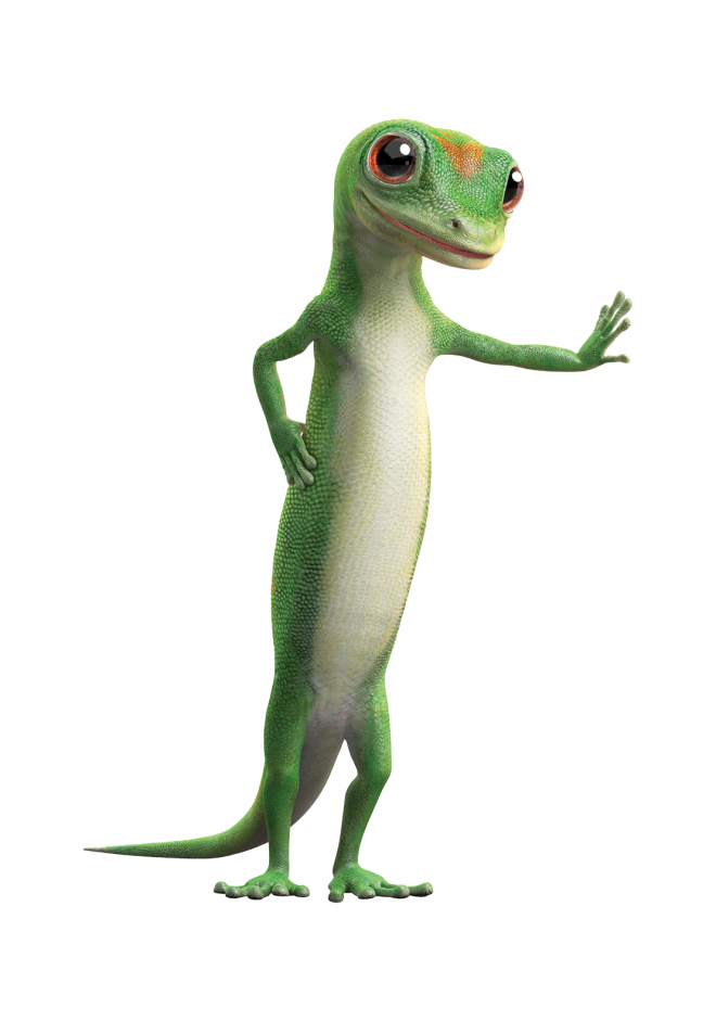 壁虎_蜥蜴_gecko_gecko