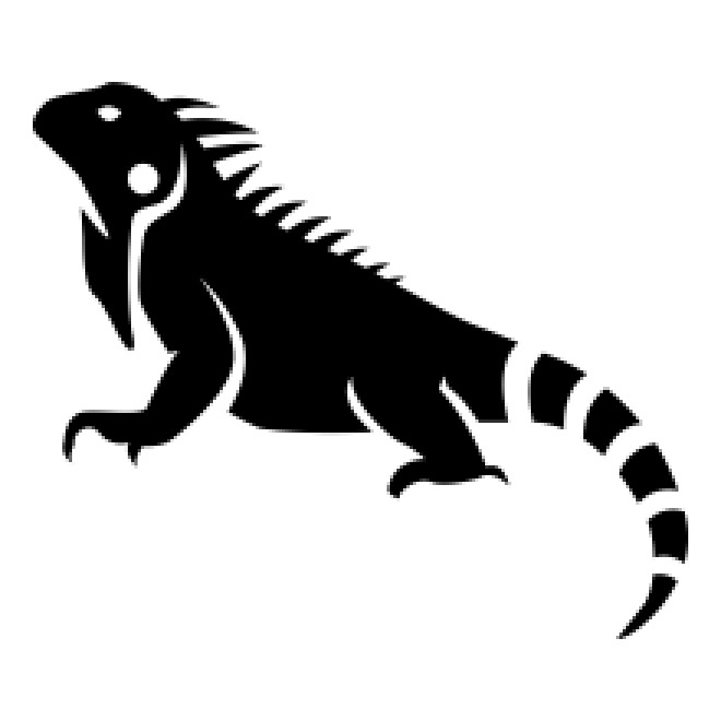 蜥蜴_鬣鱗蜥_iguana_iguana