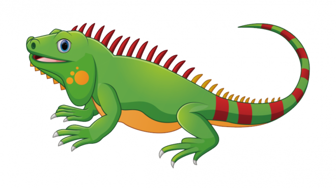 蜥蜴_鬣鱗蜥_iguana_iguana