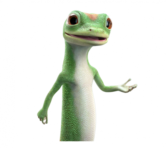 壁虎_蜥蜴_gecko_gecko