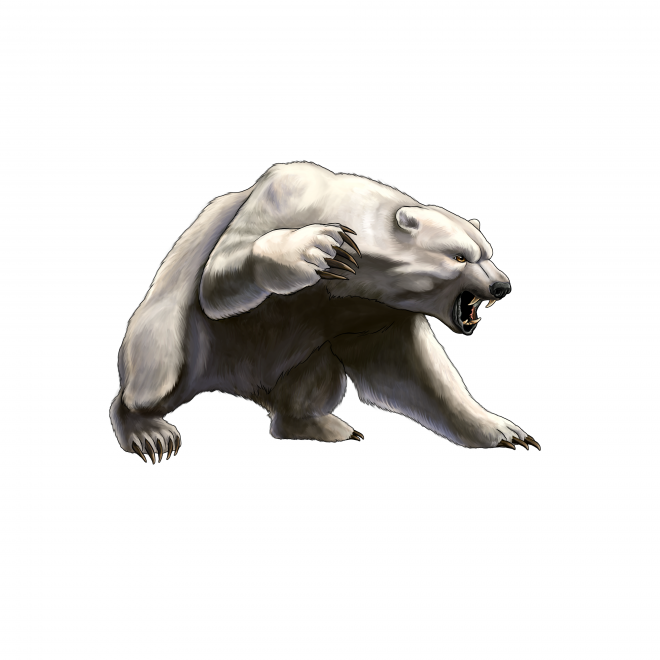 熊_bear_黑熊_棕熊_bear