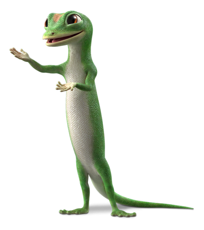 壁虎_蜥蜴_gecko_gecko