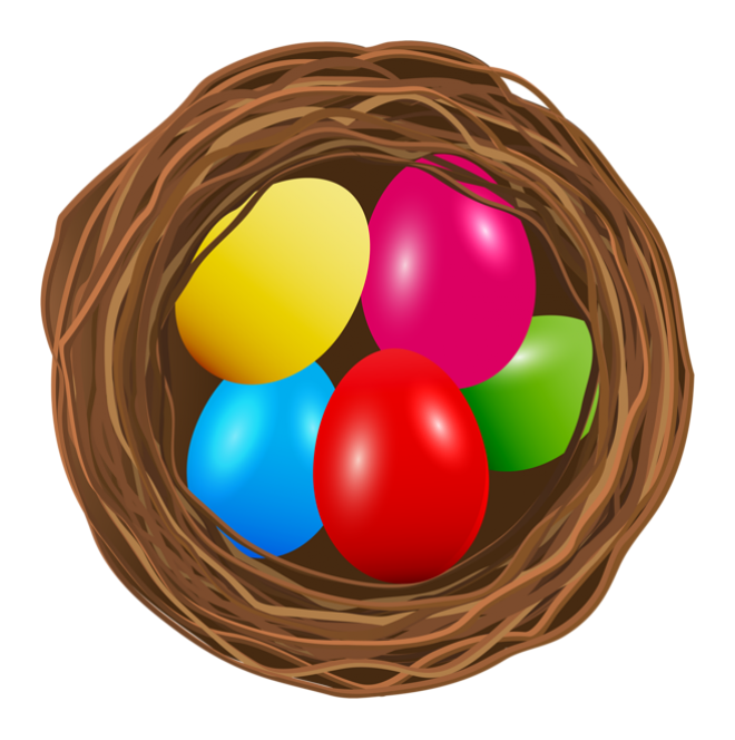 自然_鳥巢_鳥窩_巢穴_鳥蛋_nest_nest