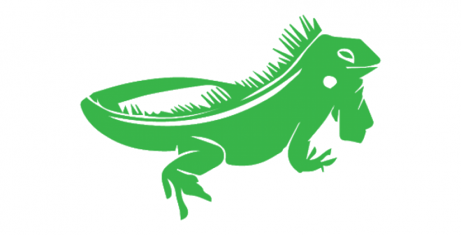 蜥蜴_鬣鱗蜥_iguana_iguana