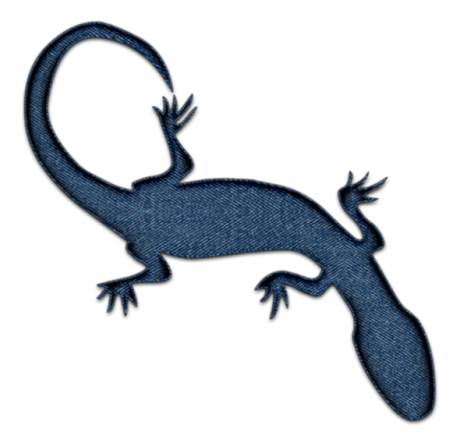 壁虎_蜥蜴_gecko_gecko