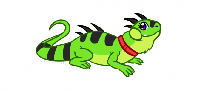 蜥蜴_鬣鱗蜥_iguana_iguana