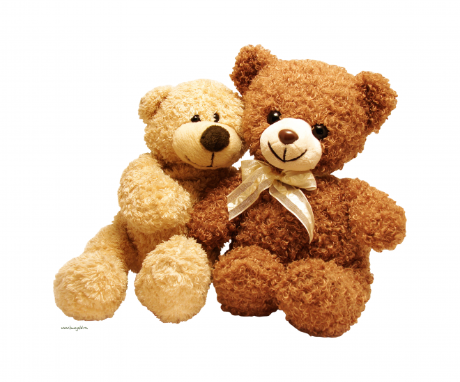 熊_bear_黑熊_棕熊_bear