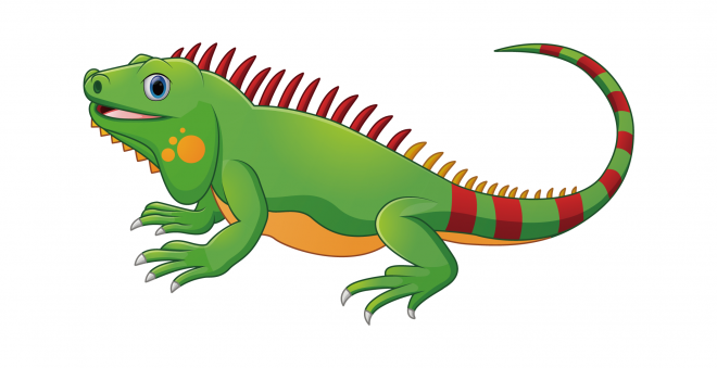 蜥蜴_鬣鱗蜥_iguana_iguana