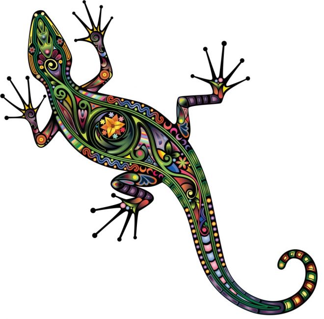 壁虎_蜥蜴_gecko
