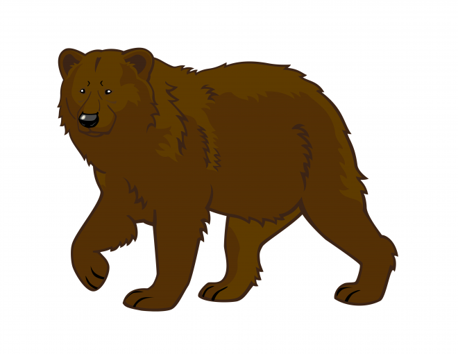 熊_bear_黑熊_棕熊_bear