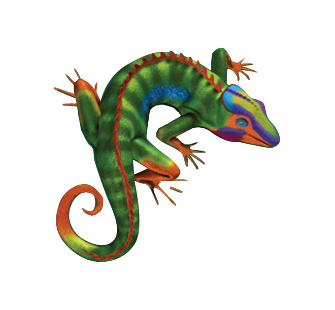 蜥蜴_鬣鱗蜥_iguana_iguana
