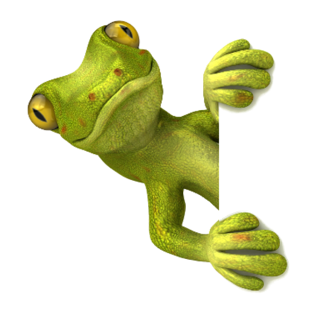 蜥蜴_lizard_lizard