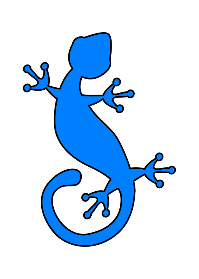 壁虎_蜥蜴_gecko_gecko