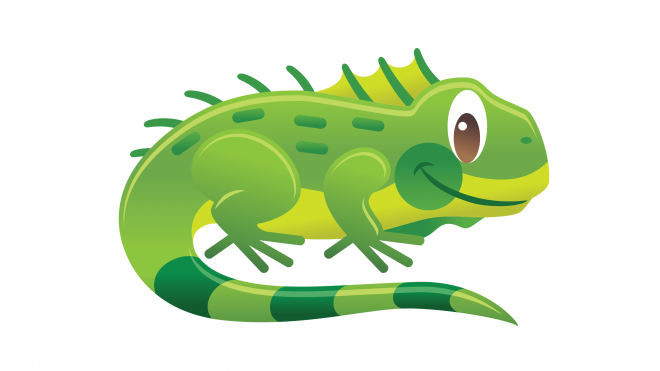 蜥蜴_鬣鱗蜥_iguana_iguana
