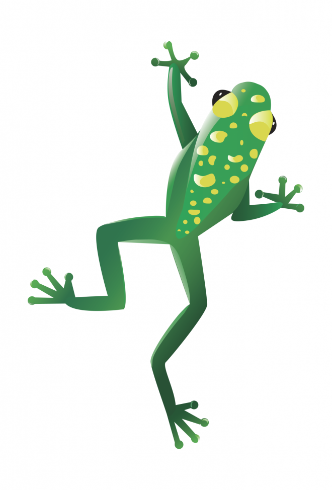 青蛙_蛙_frog_frog