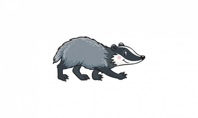 獾_badger_badger