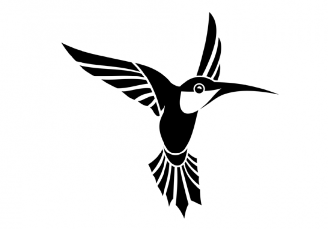 鳥_蜂鳥_hummingbird_hummingbird