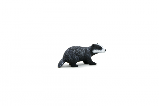 獾_badger_badger