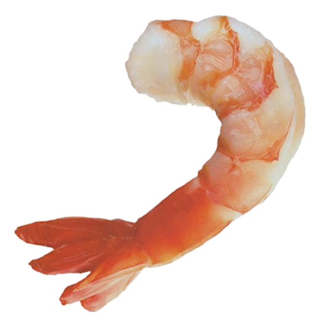 虾_虾肉_大虾_shrimps_shrimps