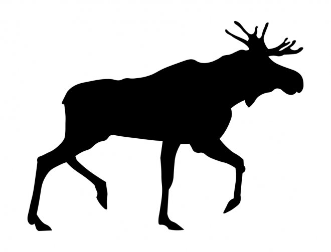 麋鹿_駝鹿_罕達(dá)犴_moose_moose