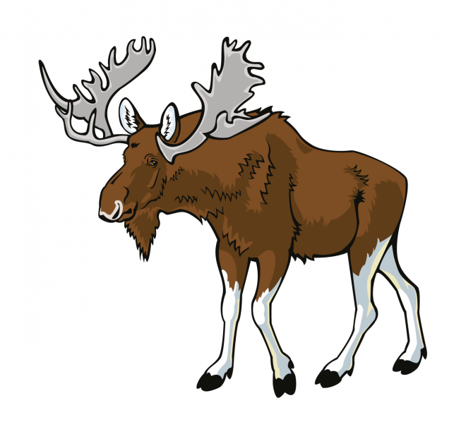 麋鹿_駝鹿_罕達(dá)犴_moose_moose