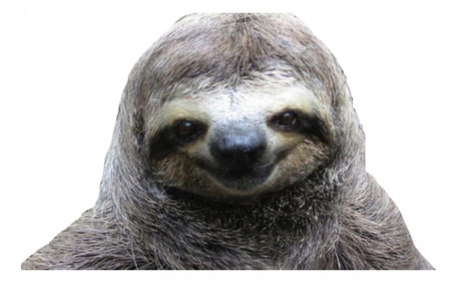树懒_sloth_sloth