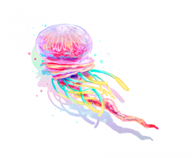 水母_海蜇_jellyfish_jellyfish
