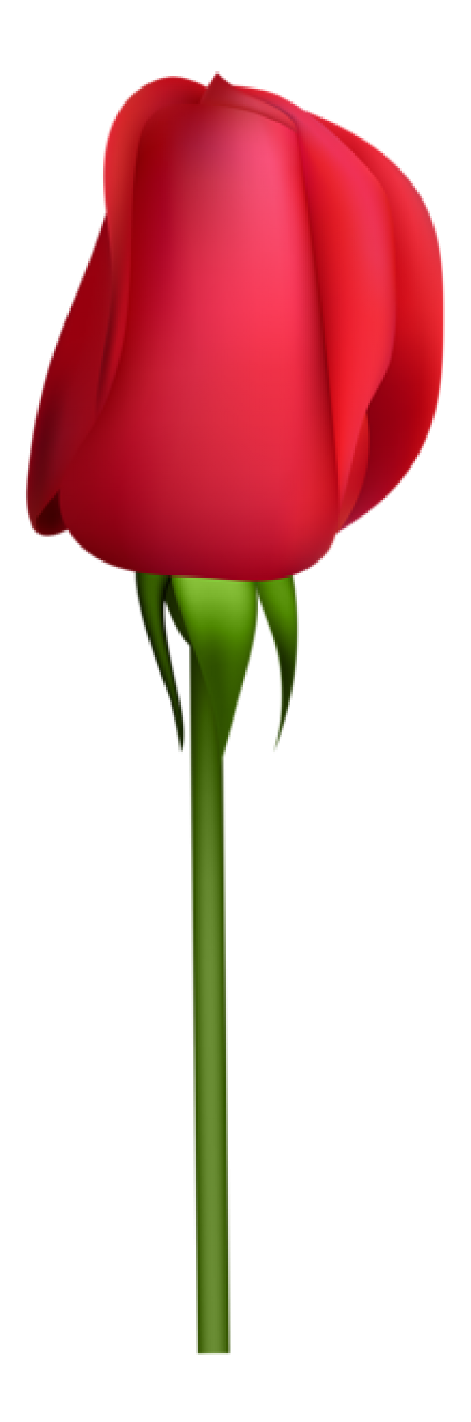 玫瑰_薔薇_花朵_花_玫瑰花_rose_rose