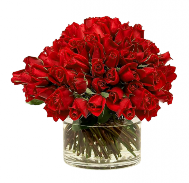 玫瑰_薔薇_花朵_花_玫瑰花_rose_rose