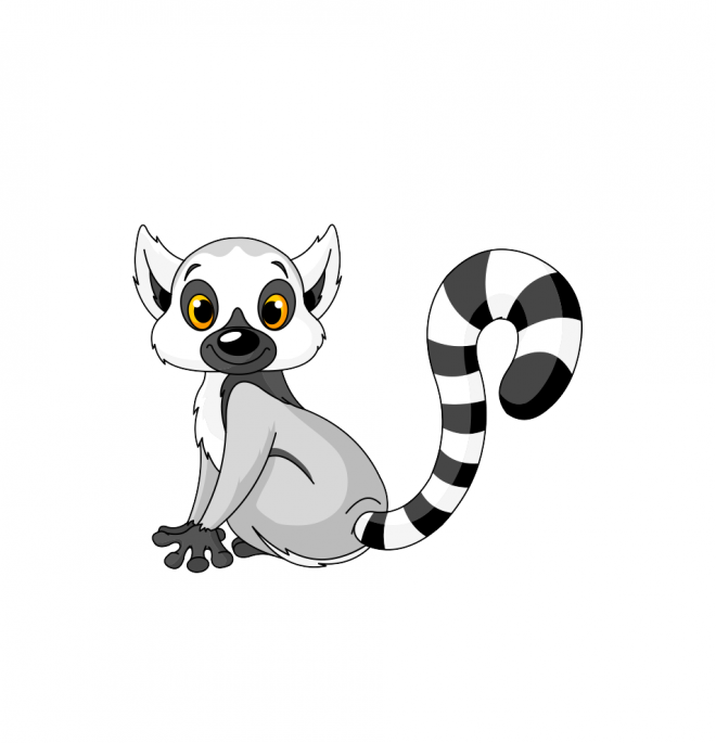 狐猴_猴子_lemur_lemur