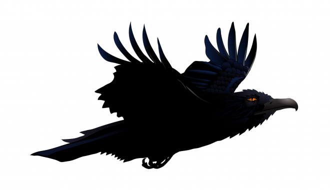 鳥_烏鴉_渡鴉_raven_raven