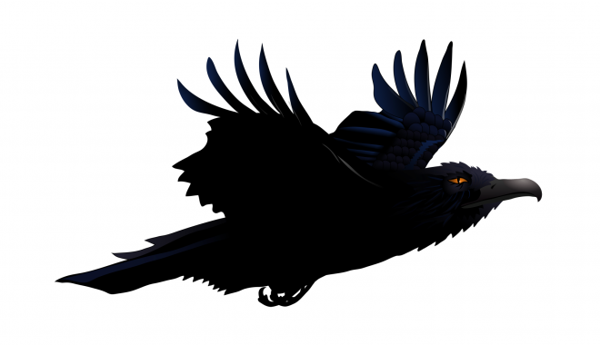 鸟_乌鸦_渡鸦_raven_raven