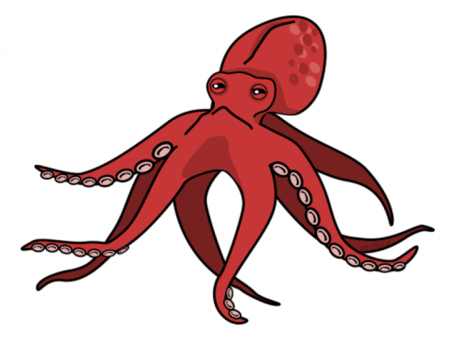 章鱼_八爪鱼_八带蛸_octopus_octopus