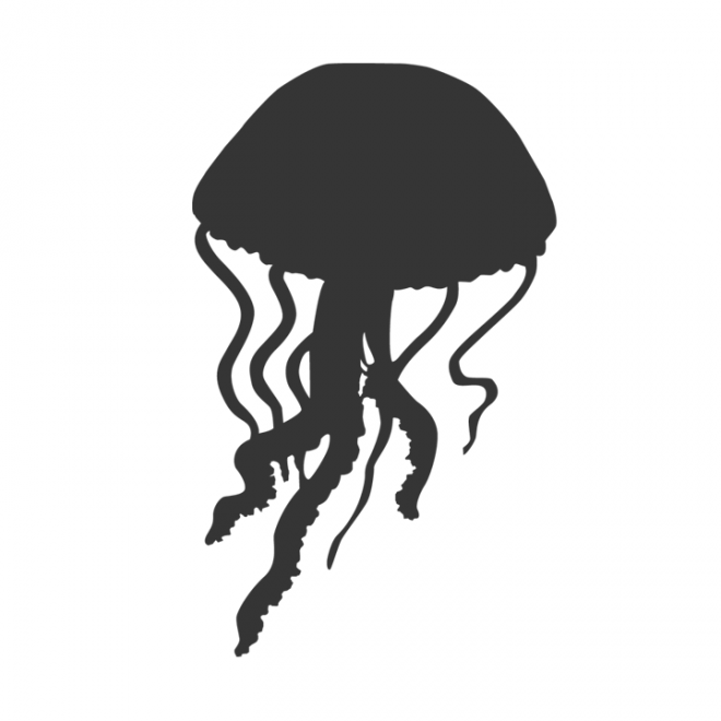 水母_海蜇_jellyfish_jellyfish