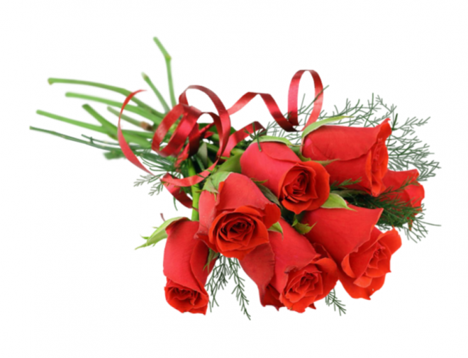玫瑰_薔薇_花朵_花_玫瑰花_rose_rose