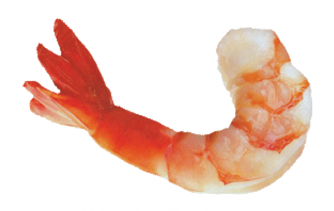 虾_虾肉_大虾_shrimps_shrimps