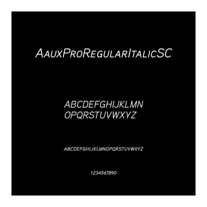 AauxProRegularItalicSC