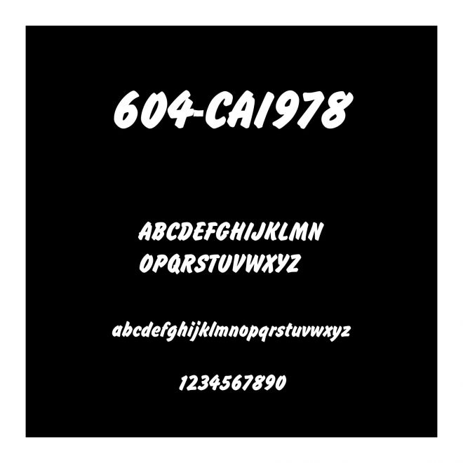 604-CAI978
